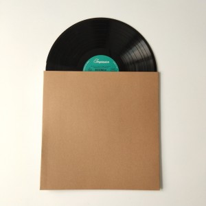 12 Vinyl 33 RPM platen kartonnen LP jassen Cover